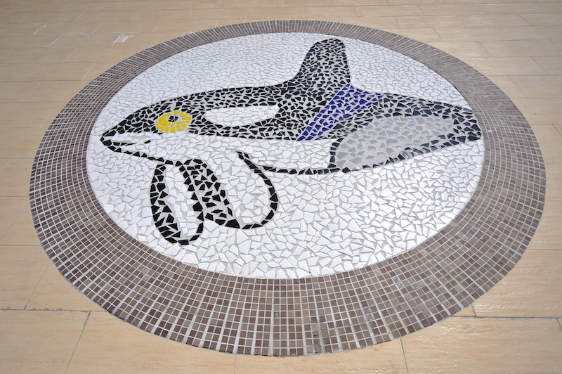 鯨典館地板的馬賽克拼貼