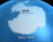 南極海生物解說