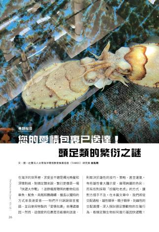 奧秘海洋125期_試閱5
