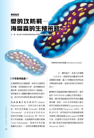 奧秘海洋125期_試閱4