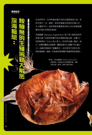 奧秘海洋125期_試閱6