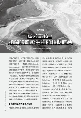 奧秘海洋126期_試閱7