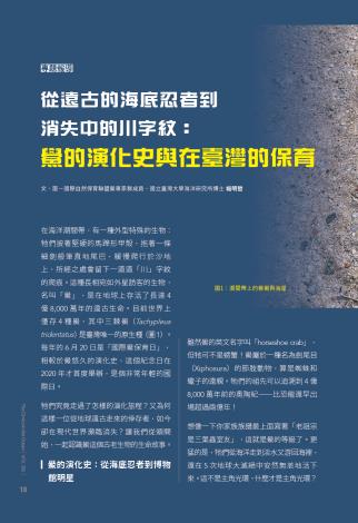 奧秘海洋126期_試閱4