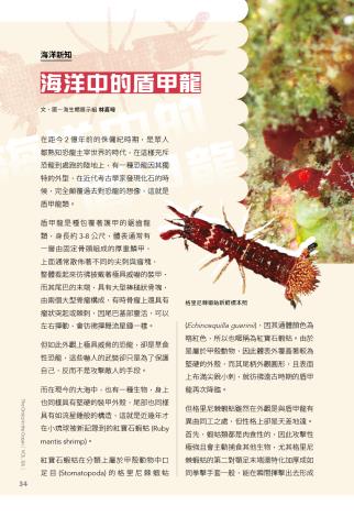 奧秘海洋126期_試閱6