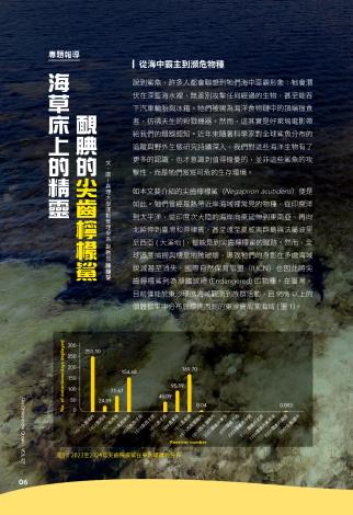 奧秘海洋127期_試閱2