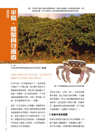 奧秘海洋128期_試閱3