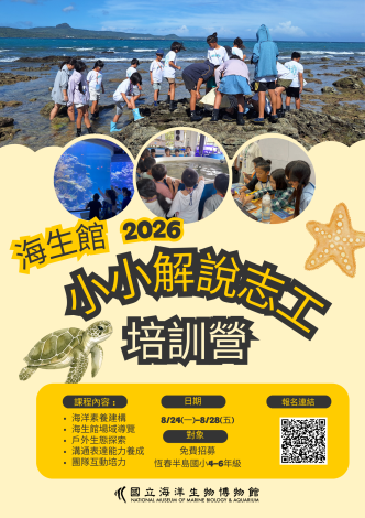 116小小解招生海報