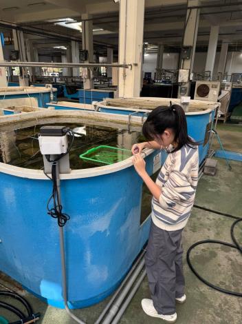 圖2蔡同學在海生館水族實驗中心進行實驗