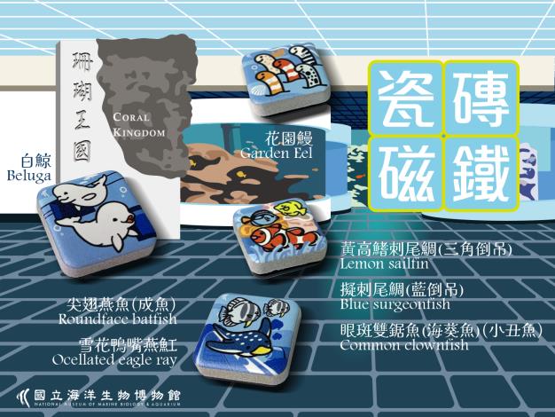 圖五磁磚磁鐵