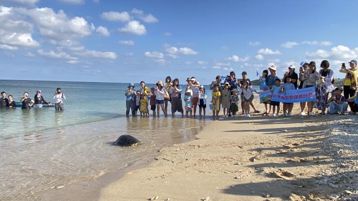 圖3康復海龜爬向大海