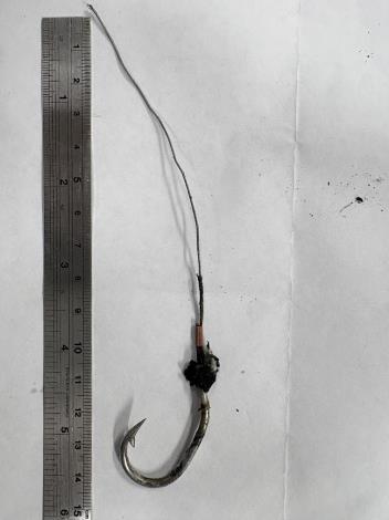 圖2_魚鉤照片.JPG