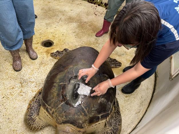 圖2裝設衛星追蹤器