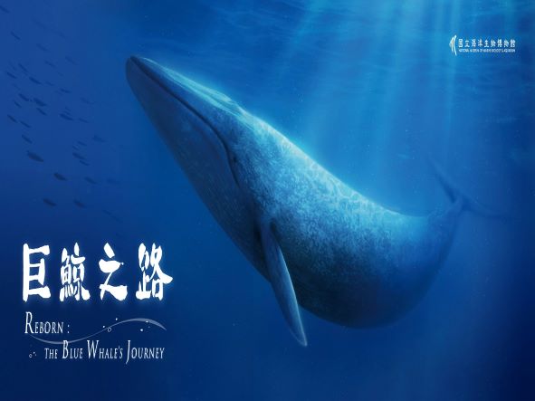 巨鯨之路(Reborn: the Blue Whale's Journey)