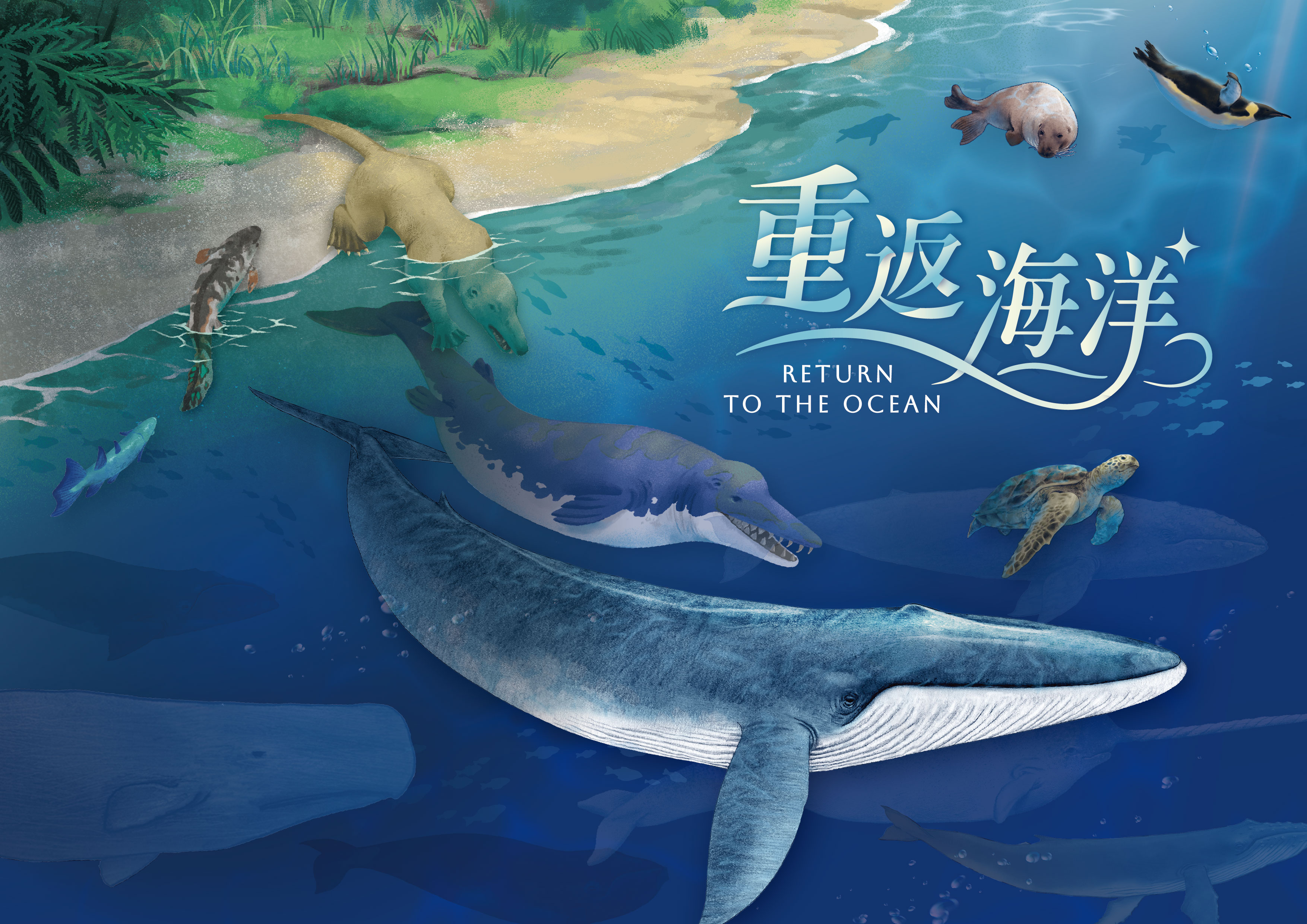 重返海洋特展