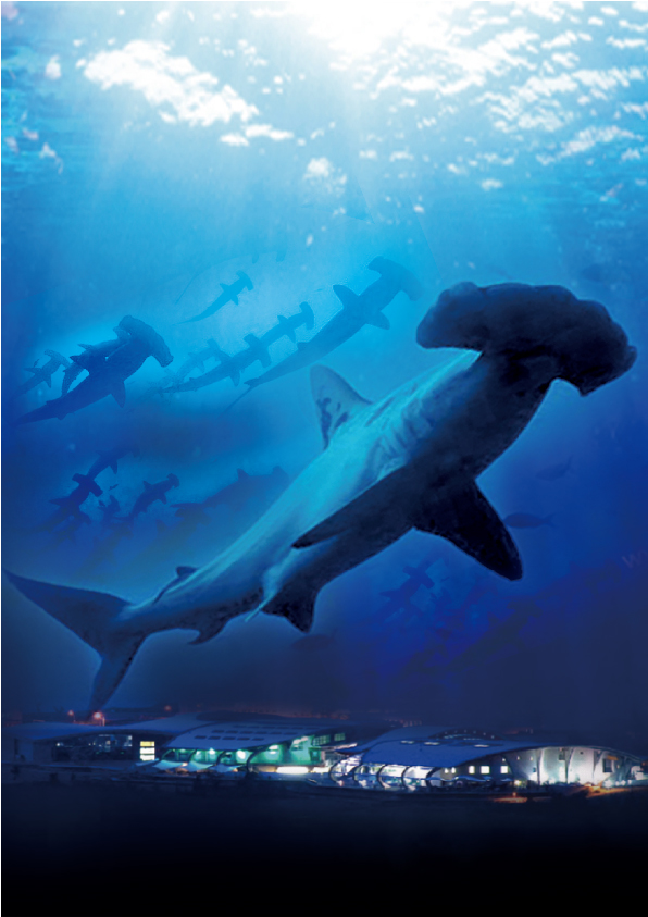 屏東海生館-鯊魚特展-探索Dr.Shark 1