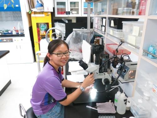 來自馬來西亞登加樓大學的王彩婍同學這次研究主要是進行底棲小型生物的分類