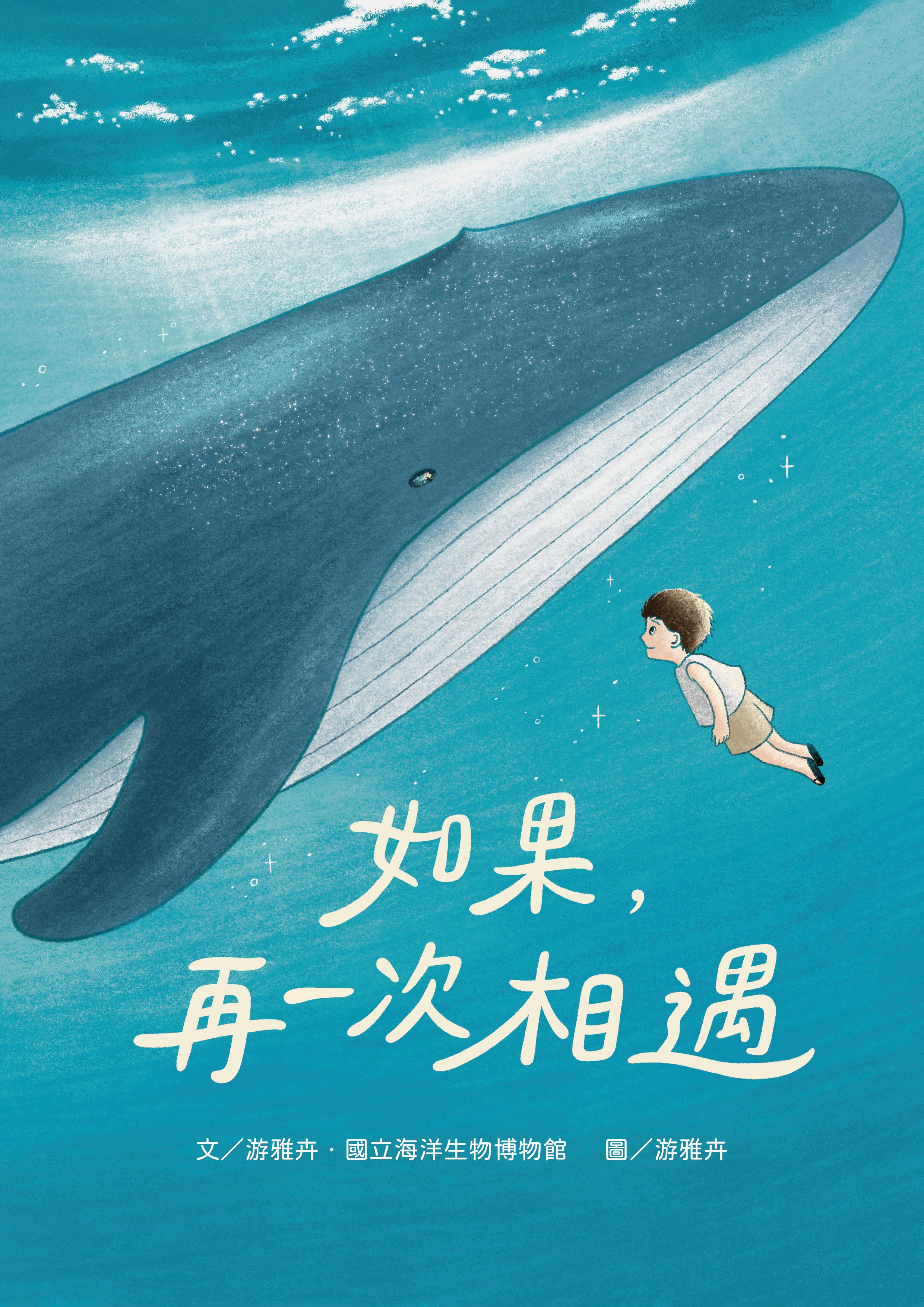 如果，再一次相遇-封面