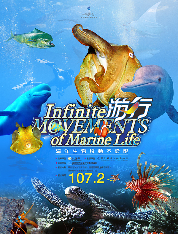 Infinite MOVEMENTS of Marine Life