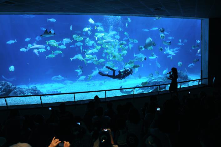 The Open Ocean Aquarium