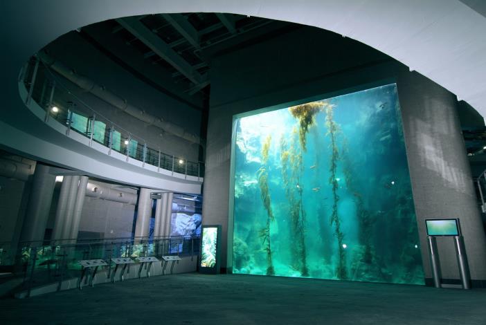Kelp Forest Tank-wide view