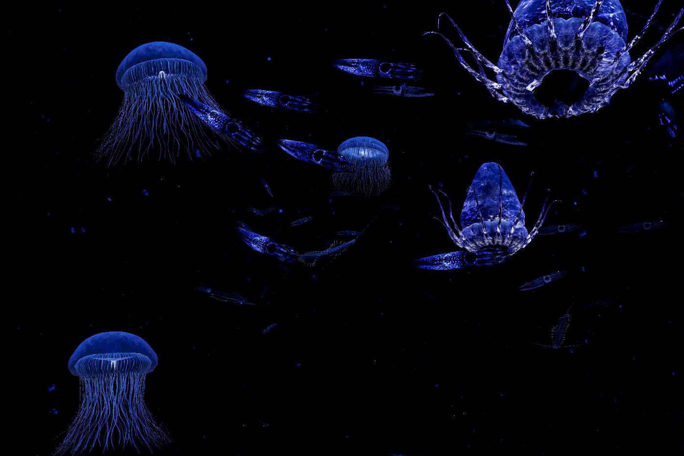  Bioluminescent Animals