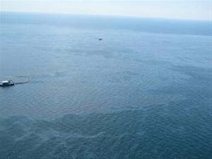 石油覆蓋了墨西哥灣，照片提供：U.S. Coast Guard