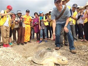 Turtle released with a satellite transmitter