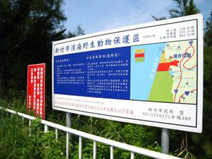 新竹市濱海野生動物保護區,禁止海岸開發,並保育野生動物不受人為傷害(林永銘 攝影)