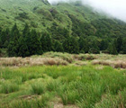 夢幻湖在七星山東南麓,高約860公尺,成因迄今仍未明確,可能是火口湖,也可能是噴氣孔造成的凹地積水而成或是火山間窪地。夢幻湖於冬季水量豐沛時才容易看得出湖泊的型態。(侯昌豪 攝)