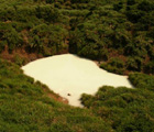 陽明山國家公園內的冷水坑是臺灣唯一的沉澱硫磺礦床,因硫磺微粒使水色混濁,經沉澱後在池底形成土狀礦層。這裡也是俗稱的「牛奶湖」。(郭美貞 攝)